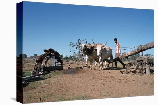 Persian Water Wheel, Rajasthan, India-Vivienne Sharp-Stretched Canvas