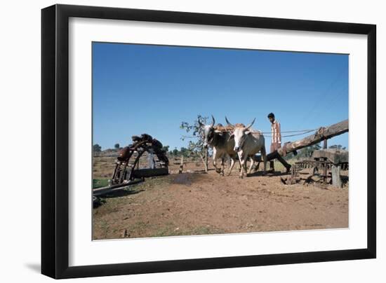 Persian Water Wheel, Rajasthan, India-Vivienne Sharp-Framed Photographic Print