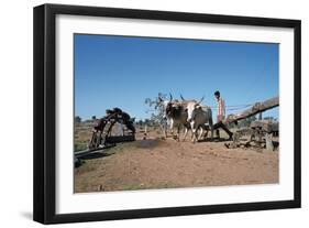 Persian Water Wheel, Rajasthan, India-Vivienne Sharp-Framed Photographic Print