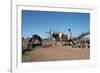 Persian Water Wheel, Rajasthan, India-Vivienne Sharp-Framed Photographic Print