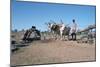 Persian Water Wheel, Rajasthan, India-Vivienne Sharp-Mounted Photographic Print