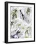 Persian Woods Fade-Li Bo-Framed Giclee Print