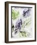 Persian Woods-Li Bo-Framed Giclee Print