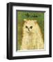 Persian-John Golden-Framed Giclee Print