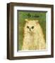 Persian-John Golden-Framed Giclee Print