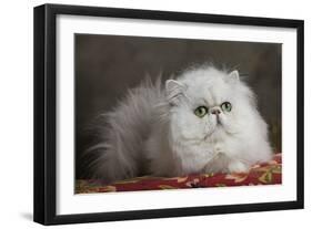 Persian-null-Framed Photographic Print