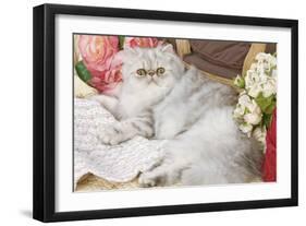 Persian-null-Framed Photographic Print