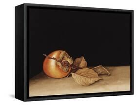 Persimmon, 2004-Jenny Barron-Framed Stretched Canvas