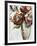 Persimmon Blooms-Angela Maritz-Framed Giclee Print