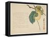 Persimmon, C.1854-59-Shunsei-Framed Stretched Canvas
