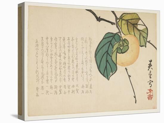Persimmon, C.1854-59-Shunsei-Stretched Canvas