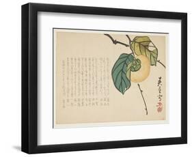 Persimmon, C.1854-59-Shunsei-Framed Giclee Print