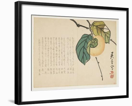 Persimmon, C.1854-59-Shunsei-Framed Giclee Print