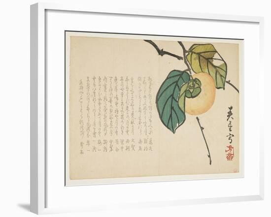 Persimmon, C.1854-59-Shunsei-Framed Giclee Print