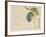 Persimmon, C.1854-59-Shunsei-Framed Giclee Print