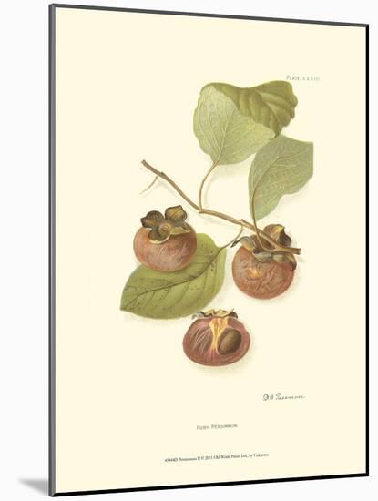 Persimmon II-null-Mounted Art Print