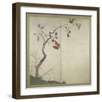 Persimmon on Tree (Ink, Colours and Gold on Paper)-Sakai Hoitsu-Framed Giclee Print