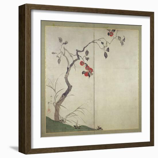 Persimmon on Tree (Ink, Colours and Gold on Paper)-Sakai Hoitsu-Framed Giclee Print