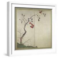 Persimmon on Tree (Ink, Colours and Gold on Paper)-Sakai Hoitsu-Framed Giclee Print