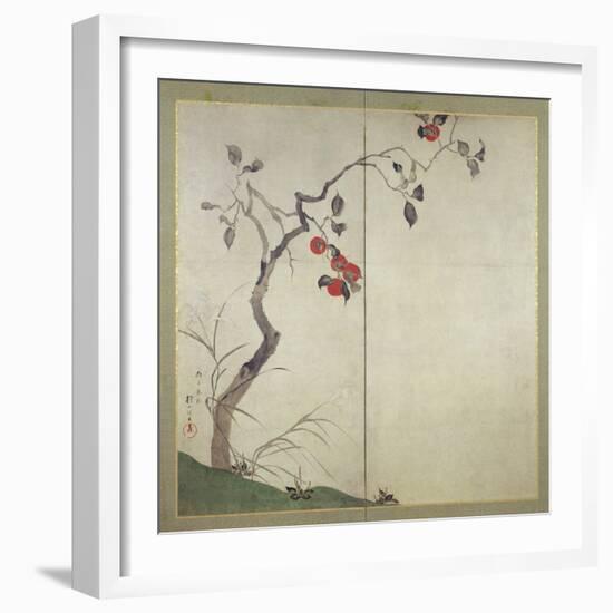 Persimmon on Tree (Ink, Colours and Gold on Paper)-Sakai Hoitsu-Framed Giclee Print