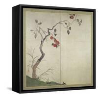 Persimmon on Tree (Ink, Colours and Gold on Paper)-Sakai Hoitsu-Framed Stretched Canvas