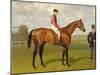 Persimmon, Winner of the 1896 Derby-Emil Adam-Mounted Giclee Print