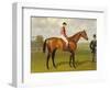 Persimmon, Winner of the 1896 Derby-Emil Adam-Framed Giclee Print