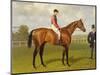 Persimmon, Winner of the 1896 Derby-Emil Adam-Mounted Giclee Print