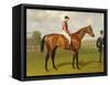 Persimmon, Winner of the 1896 Derby-Emil Adam-Framed Stretched Canvas