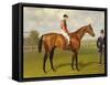 Persimmon, Winner of the 1896 Derby-Emil Adam-Framed Stretched Canvas