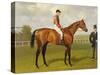 Persimmon, Winner of the 1896 Derby-Emil Adam-Stretched Canvas