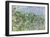 Persistant Beauty II-Tyson Estes-Framed Giclee Print