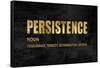 Persistence in Gold-Jamie MacDowell-Framed Stretched Canvas