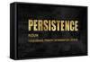 Persistence in Gold-Jamie MacDowell-Framed Stretched Canvas