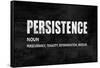 Persistence on Black-Jamie MacDowell-Framed Stretched Canvas