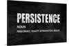 Persistence on Black-Jamie MacDowell-Stretched Canvas