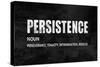 Persistence on Black-Jamie MacDowell-Stretched Canvas