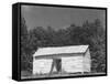 person cabin in Hale County, Alabama, c.1936-Walker Evans-Framed Stretched Canvas