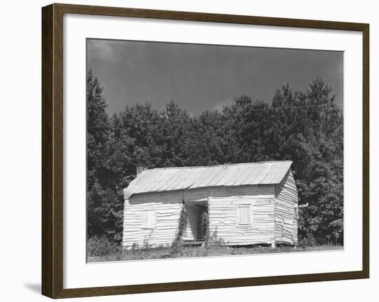 person cabin in Hale County, Alabama, c.1936-Walker Evans-Framed Photographic Print