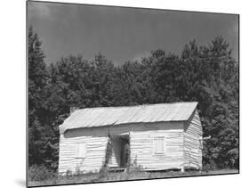 person cabin in Hale County, Alabama, c.1936-Walker Evans-Mounted Photographic Print