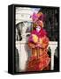 Person Dressed in Carnival Mask and Costume, Veneto, Italy-Lee Frost-Framed Stretched Canvas