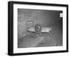 Person in a Red Cross hospital in the camp for flood refugees at Forrest City, Arkansas, 1937-Walker Evans-Framed Photographic Print