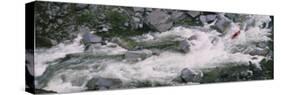 Person Kayaking on a River, Salmon River, California, USA-null-Stretched Canvas
