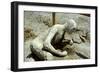 Person Killed by the Pompeii Eruption, 79 Ad-null-Framed Photographic Print