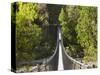 Person on Huon Swinging Bridge Over Huon River, Tahune Forest Reserve, Tasmania, Australia-David Wall-Stretched Canvas