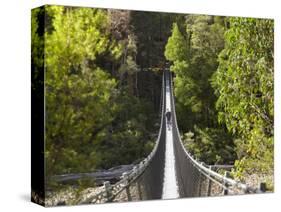 Person on Huon Swinging Bridge Over Huon River, Tahune Forest Reserve, Tasmania, Australia-David Wall-Stretched Canvas