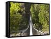 Person on Huon Swinging Bridge Over Huon River, Tahune Forest Reserve, Tasmania, Australia-David Wall-Framed Stretched Canvas