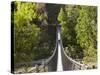 Person on Huon Swinging Bridge Over Huon River, Tahune Forest Reserve, Tasmania, Australia-David Wall-Stretched Canvas