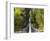 Person on Huon Swinging Bridge Over Huon River, Tahune Forest Reserve, Tasmania, Australia-David Wall-Framed Photographic Print