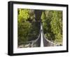 Person on Huon Swinging Bridge Over Huon River, Tahune Forest Reserve, Tasmania, Australia-David Wall-Framed Photographic Print